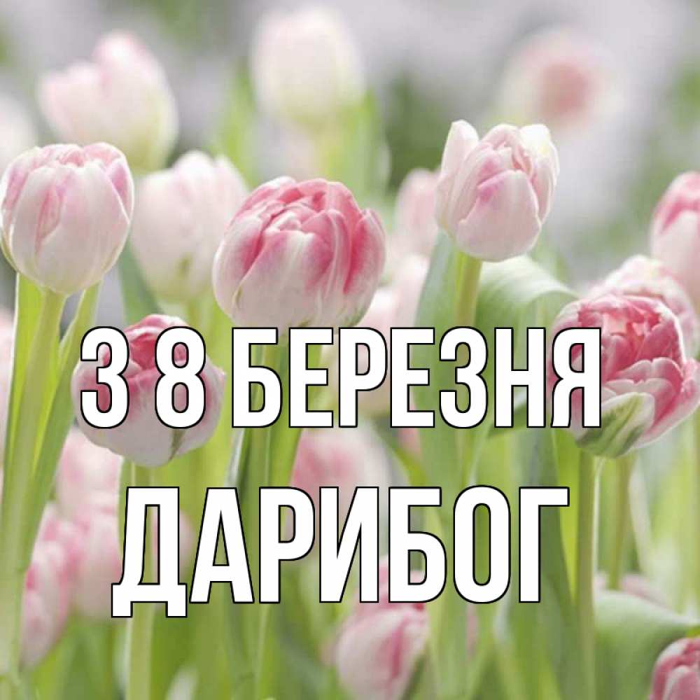 Открытка на каждый день з підписом, Дарибог З 8 БЕРЕЗНЯ цветы Прикольна листівка з побажанням онлайн скачати безкоштовно 