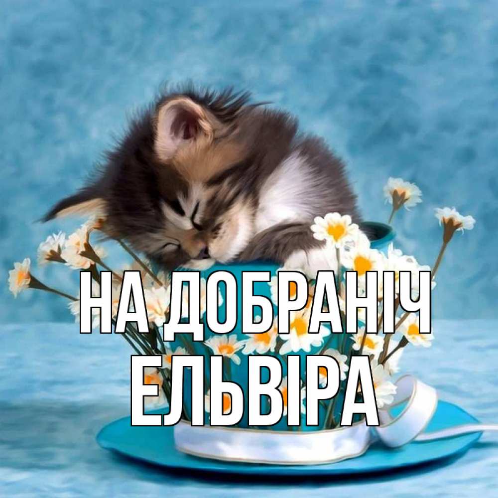 Открытка на каждый день з підписом, Ельвіра На добраніч котенок спит в кружке с блюдцем Прикольна листівка з побажанням онлайн скачати безкоштовно 
