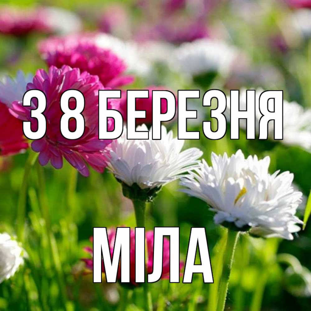 Открытка на каждый день з підписом, Міла З 8 БЕРЕЗНЯ международный женский день 1 Прикольна листівка з побажанням онлайн скачати безкоштовно 