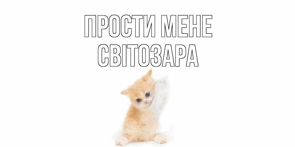 Открытка на каждый день з підписом, Світозара Прости мене кот Прикольна листівка з побажанням онлайн скачати безкоштовно 