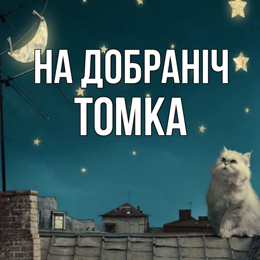 Открытка на каждый день з підписом, Томка На добраніч белый кот сидит на крыше Прикольна листівка з побажанням онлайн скачати безкоштовно 