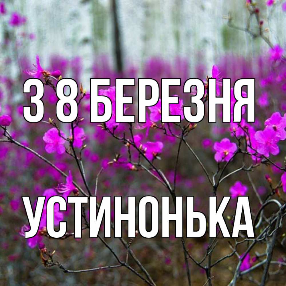 Открытка на каждый день з підписом, Устинонька З 8 БЕРЕЗНЯ дикие цветы Прикольна листівка з побажанням онлайн скачати безкоштовно 