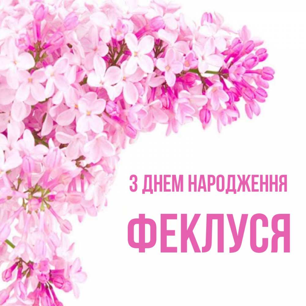 Открытка на каждый день з підписом, Феклуся З Днем народження Сирень на белом фоне Прикольна листівка з побажанням онлайн скачати безкоштовно 