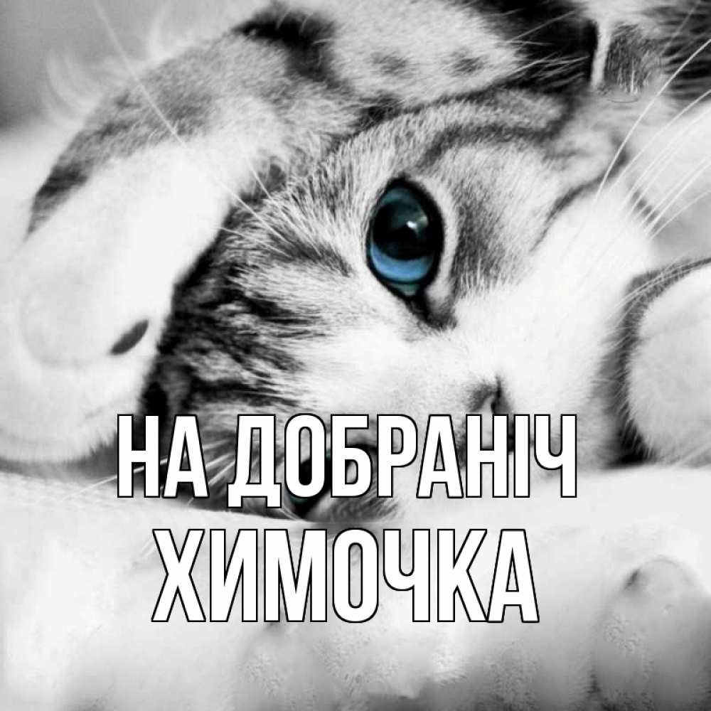 Открытка на каждый день з підписом, Химочка На добраніч кот устал Прикольна листівка з побажанням онлайн скачати безкоштовно 