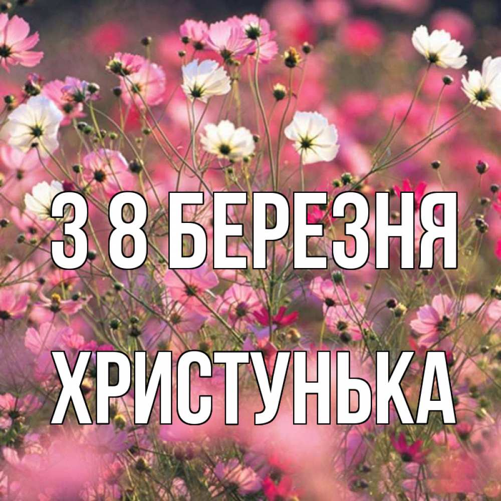Открытка на каждый день з підписом, Христунька З 8 БЕРЕЗНЯ красиво 1 Прикольна листівка з побажанням онлайн скачати безкоштовно 