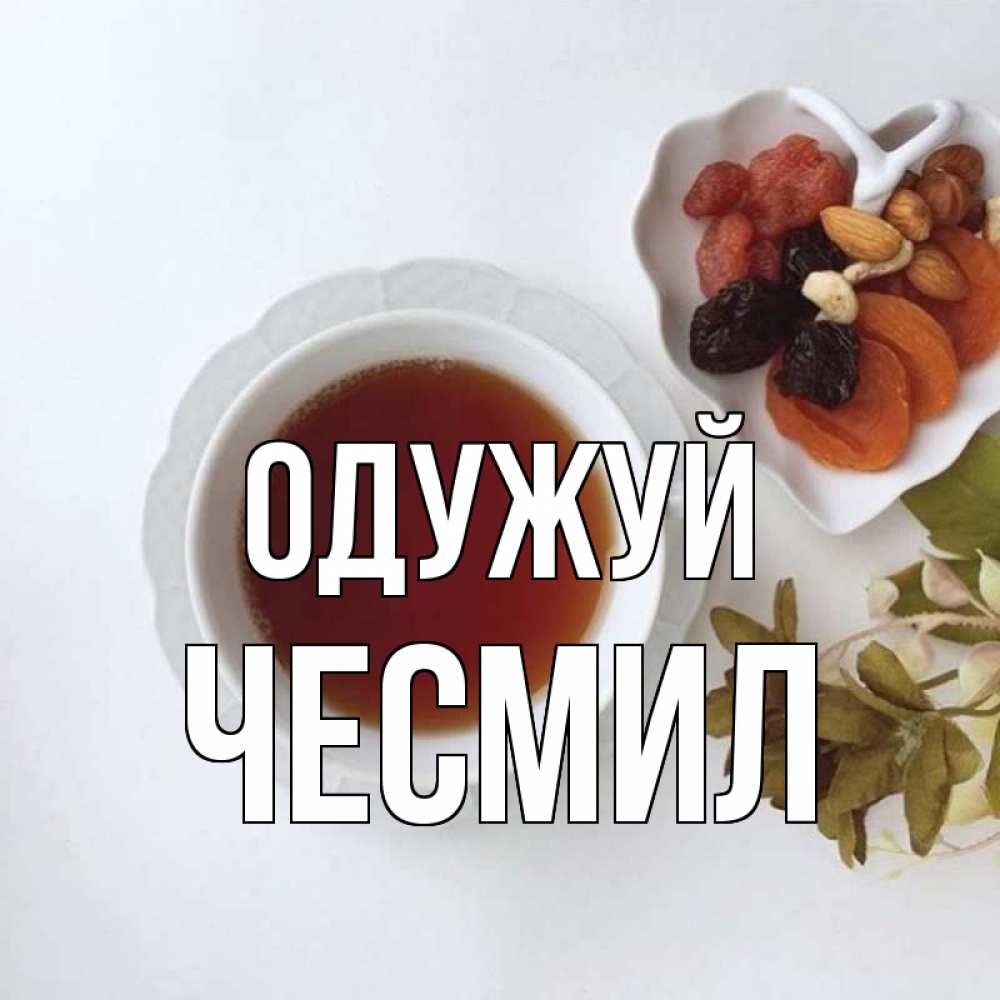 Открытка на каждый день з підписом, Чесмил Одужуй неизвестные растения Прикольна листівка з побажанням онлайн скачати безкоштовно 