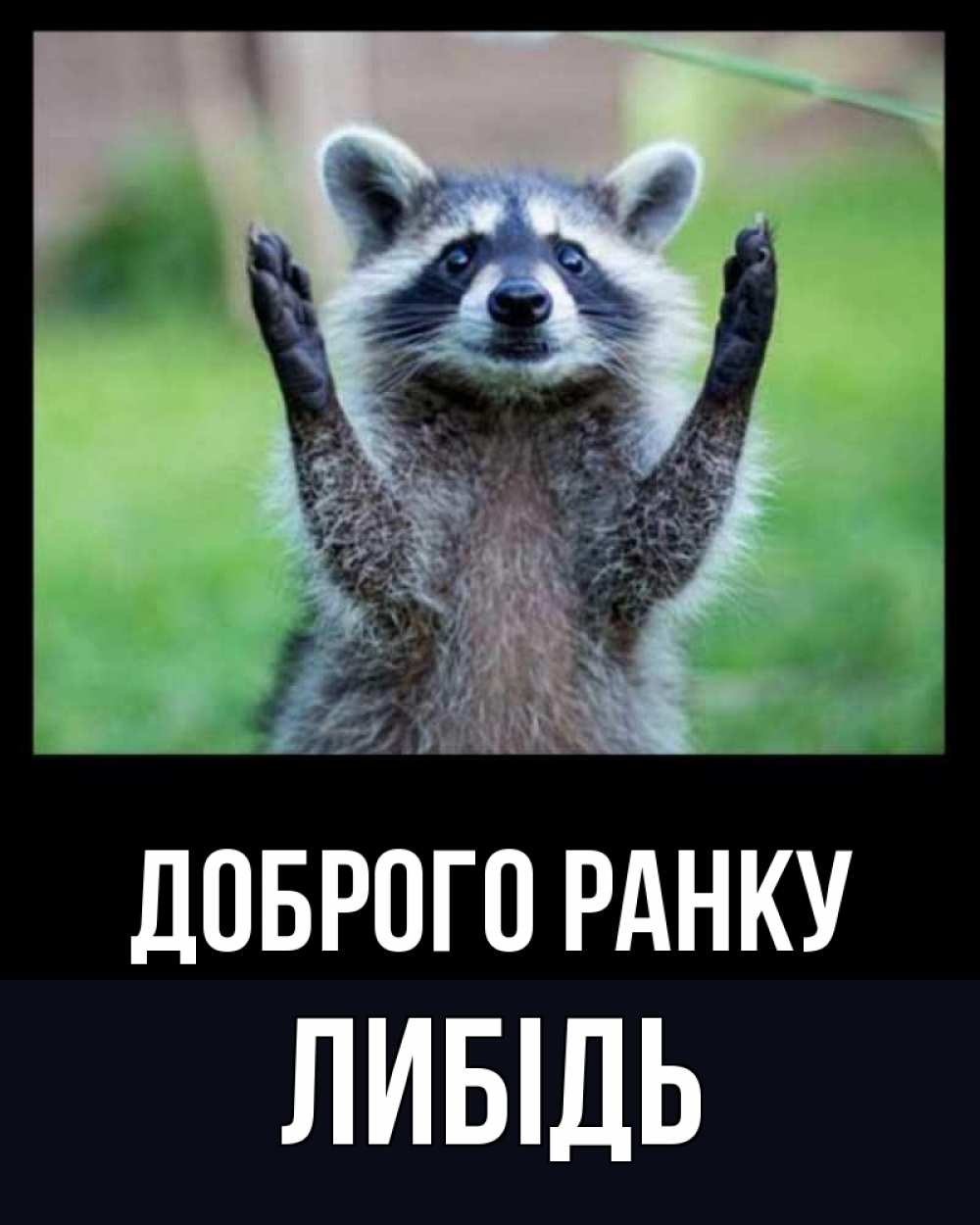 Открытка на каждый день з підписом, Либідь Доброго ранку хорошее настроение утречком Прикольна листівка з побажанням онлайн скачати безкоштовно 