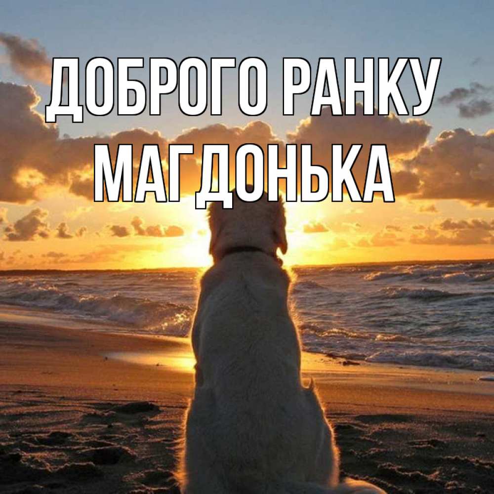 Открытка на каждый день з підписом, Магдонька Доброго ранку восход солнца Прикольна листівка з побажанням онлайн скачати безкоштовно 