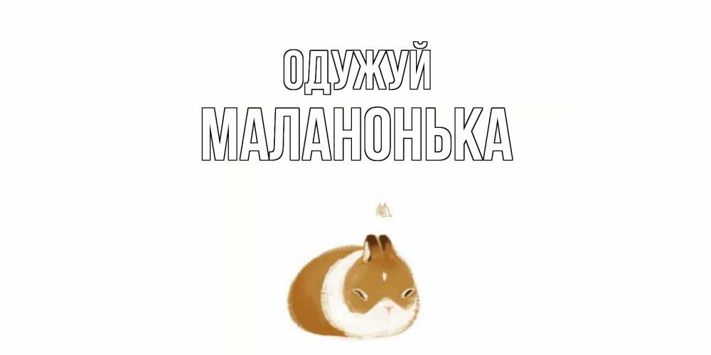 Открытка на каждый день з підписом, Маланонька Одужуй морская свинка на открытке с пожеланиями не болеть Прикольна листівка з побажанням онлайн скачати безкоштовно 