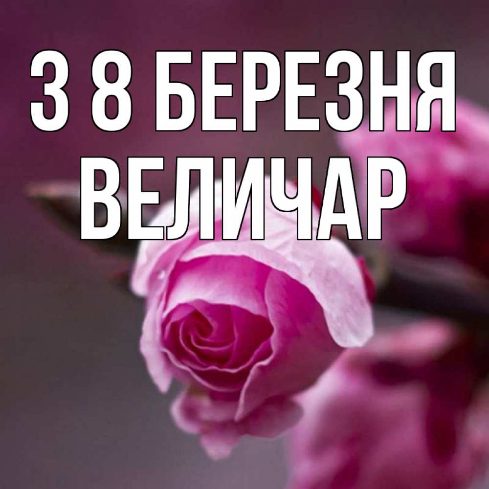 Открытка на каждый день з підписом, Величар З 8 БЕРЕЗНЯ весна Прикольна листівка з побажанням онлайн скачати безкоштовно 