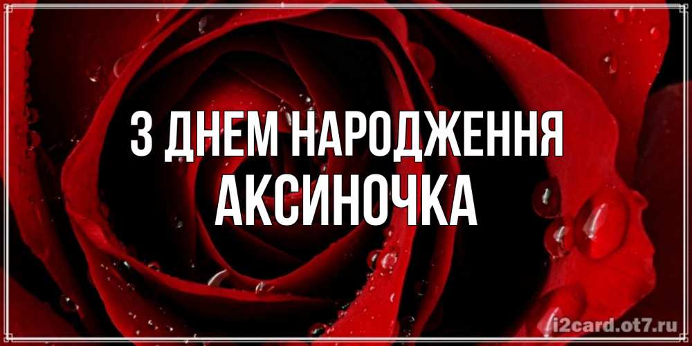 Открытка на каждый день з підписом, Аксиночка З Днем народження крупная бордовая роза Прикольна листівка з побажанням онлайн скачати безкоштовно 