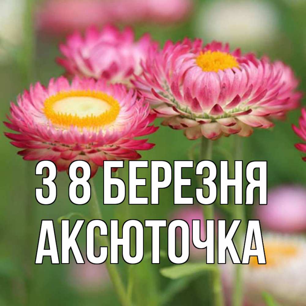 Открытка на каждый день з підписом, Аксюточка З 8 БЕРЕЗНЯ подарок на международный женский день Прикольна листівка з побажанням онлайн скачати безкоштовно 