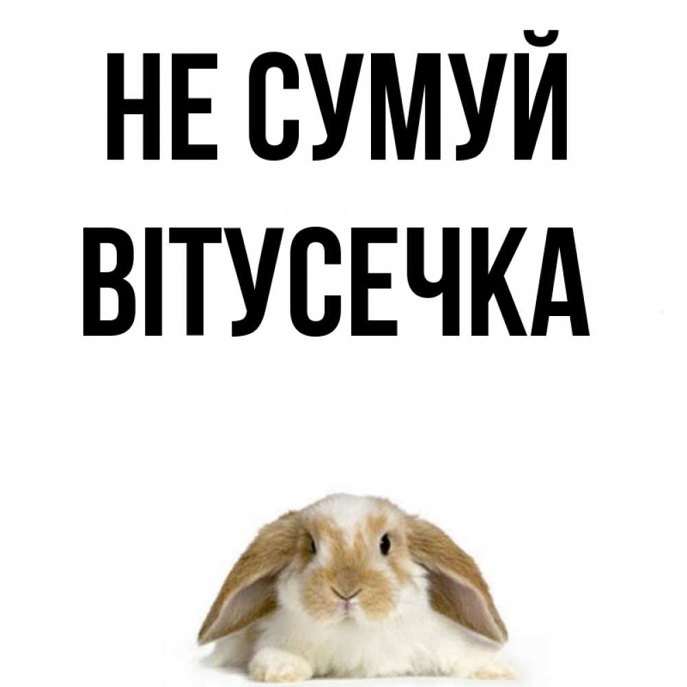 Открытка на каждый день з підписом, Вітусечка Не сумуй коричнево белый заяц с большими ушками Прикольна листівка з побажанням онлайн скачати безкоштовно 