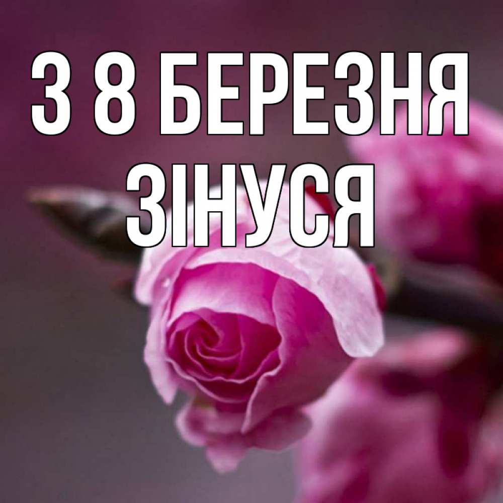 Открытка на каждый день з підписом, Зінуся З 8 БЕРЕЗНЯ весна Прикольна листівка з побажанням онлайн скачати безкоштовно 