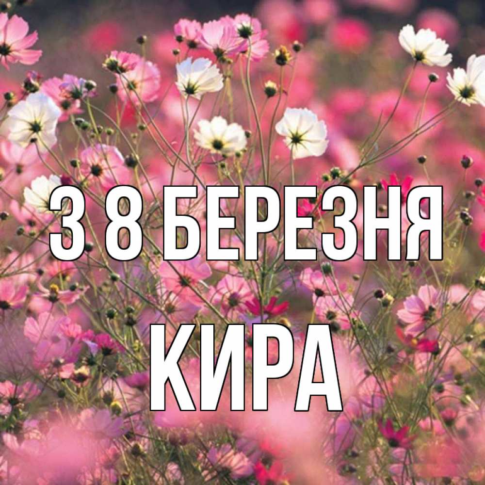 Открытка на каждый день з підписом, Кира З 8 БЕРЕЗНЯ красиво 1 Прикольна листівка з побажанням онлайн скачати безкоштовно 