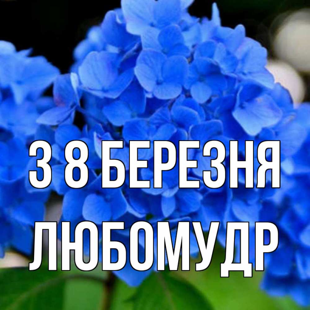 Открытка на каждый день з підписом, Любомудр З 8 БЕРЕЗНЯ синие цветы Прикольна листівка з побажанням онлайн скачати безкоштовно 