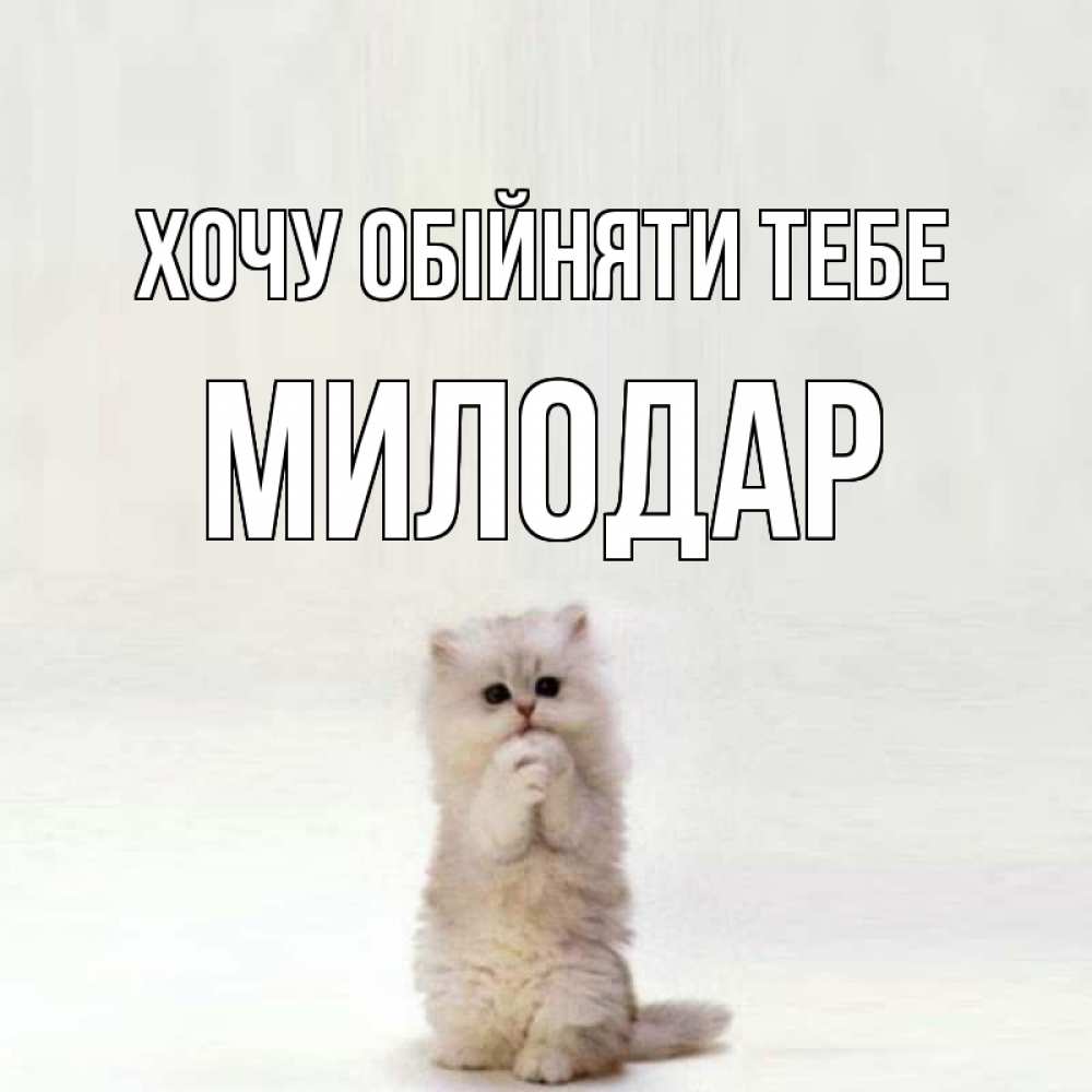 Открытка на каждый день з підписом, Милодар Хочу обійняти тебе открытки с креативными подписями Прикольна листівка з побажанням онлайн скачати безкоштовно 