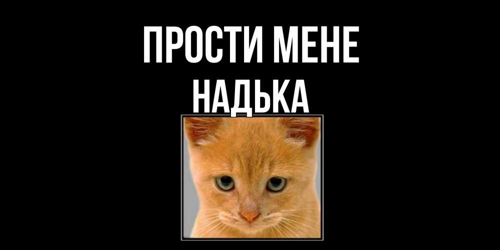 Открытка на каждый день з підписом, Надька Прости мене рыжий грустный кот просит прощения Прикольна листівка з побажанням онлайн скачати безкоштовно 