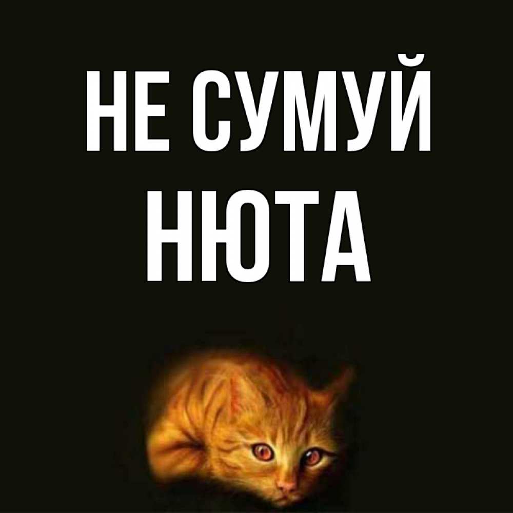 Открытка на каждый день з підписом, Нюта Не сумуй лежащий кот в темноте Прикольна листівка з побажанням онлайн скачати безкоштовно 