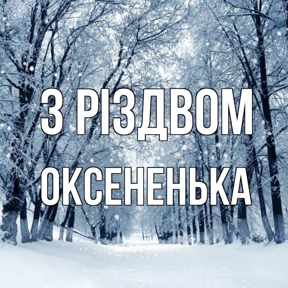Открытка на каждый день з підписом, Оксененька З Різдвом снег, лес, парк Прикольна листівка з побажанням онлайн скачати безкоштовно 