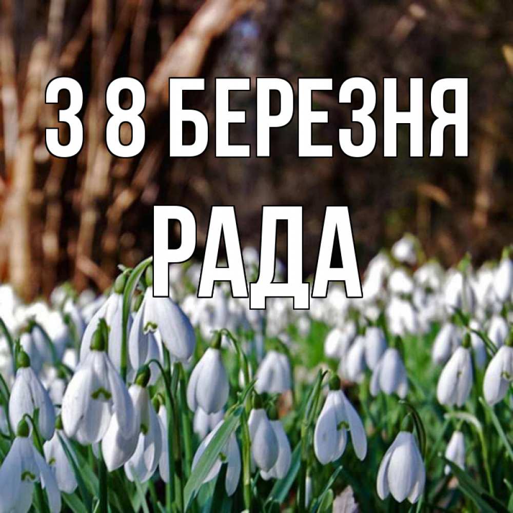 Открытка на каждый день з підписом, Рада З 8 БЕРЕЗНЯ с подснежниками 1 Прикольна листівка з побажанням онлайн скачати безкоштовно 