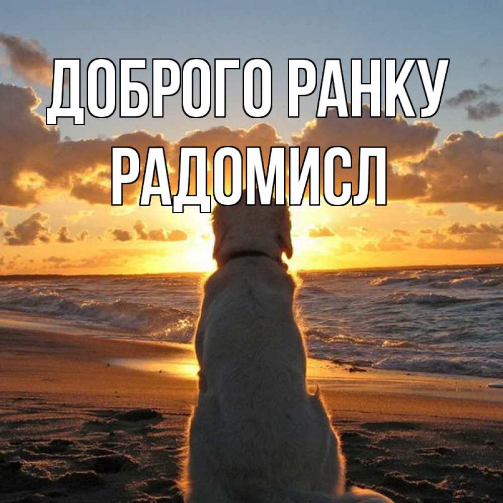 Открытка на каждый день з підписом, Радомисл Доброго ранку восход солнца Прикольна листівка з побажанням онлайн скачати безкоштовно 