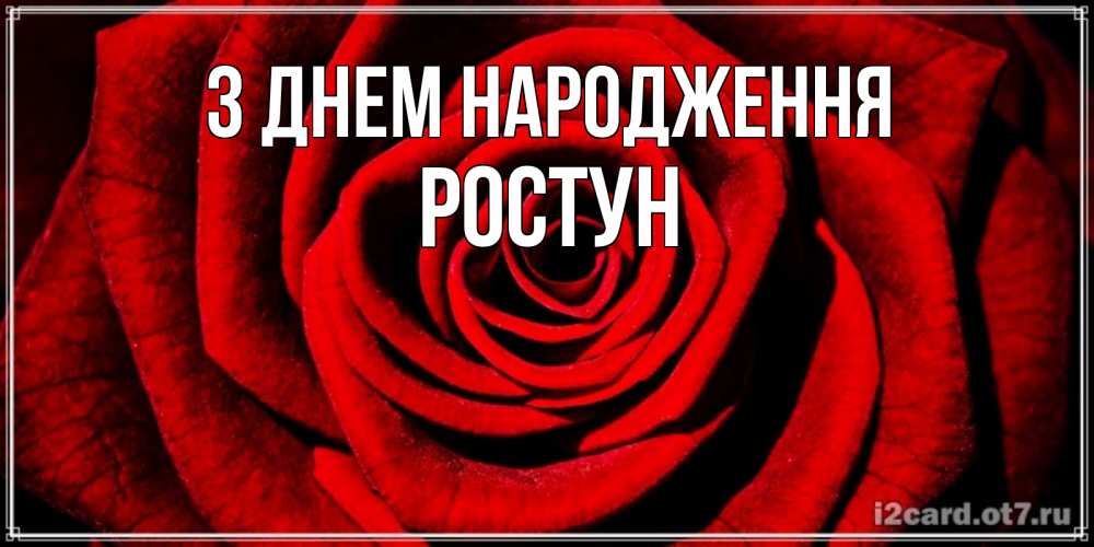 Открытка на каждый день з підписом, Ростун З Днем народження алая роза Прикольна листівка з побажанням онлайн скачати безкоштовно 
