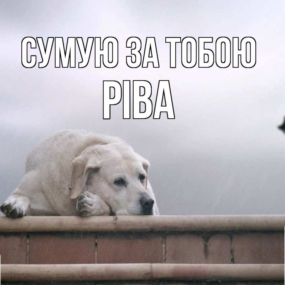 Открытка на каждый день з підписом, Ріва Сумую за тобою ждет Прикольна листівка з побажанням онлайн скачати безкоштовно 