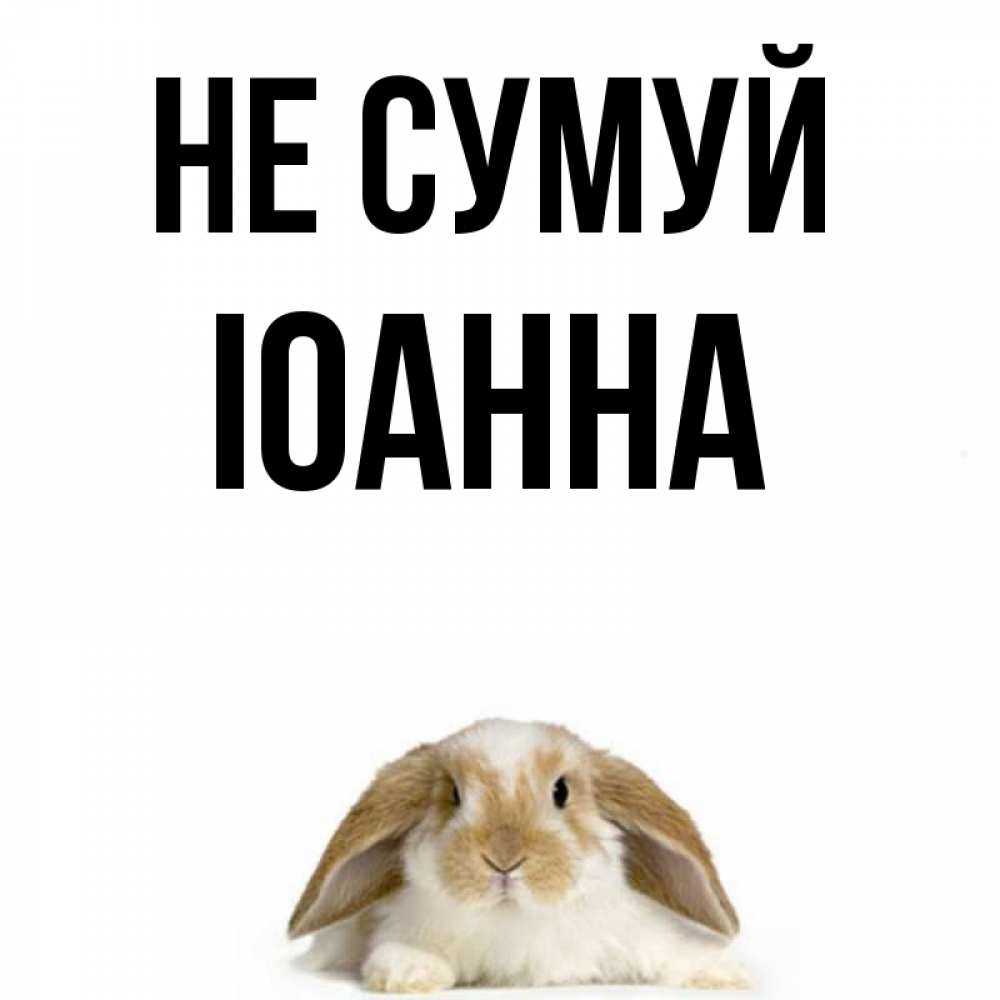 Открытка на каждый день з підписом, Іоанна Не сумуй коричнево белый заяц с большими ушками Прикольна листівка з побажанням онлайн скачати безкоштовно 