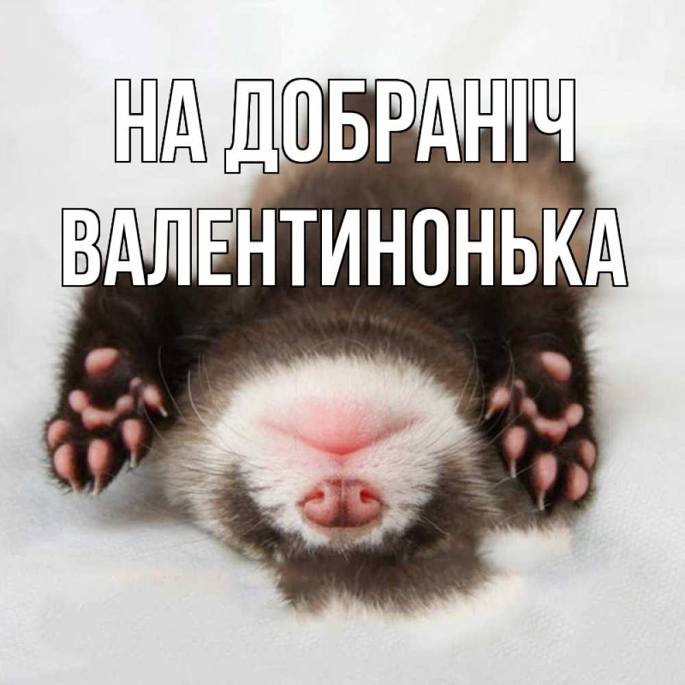 Открытка на каждый день з підписом, Валентинонька На добраніч зверек Прикольна листівка з побажанням онлайн скачати безкоштовно 