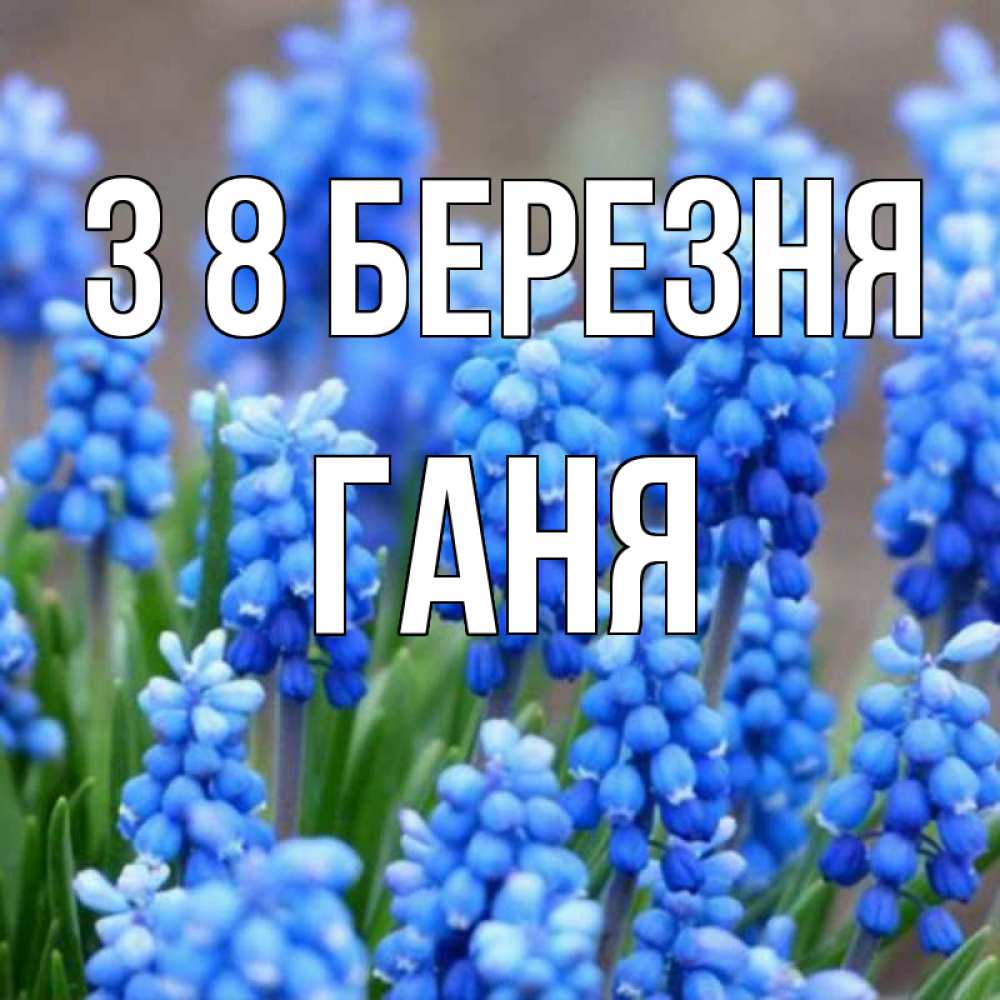 Открытка на каждый день з підписом, Ганя З 8 БЕРЕЗНЯ Поздравительная открытка для женщин с цветами на праздничную дату Прикольна листівка з побажанням онлайн скачати безкоштовно 