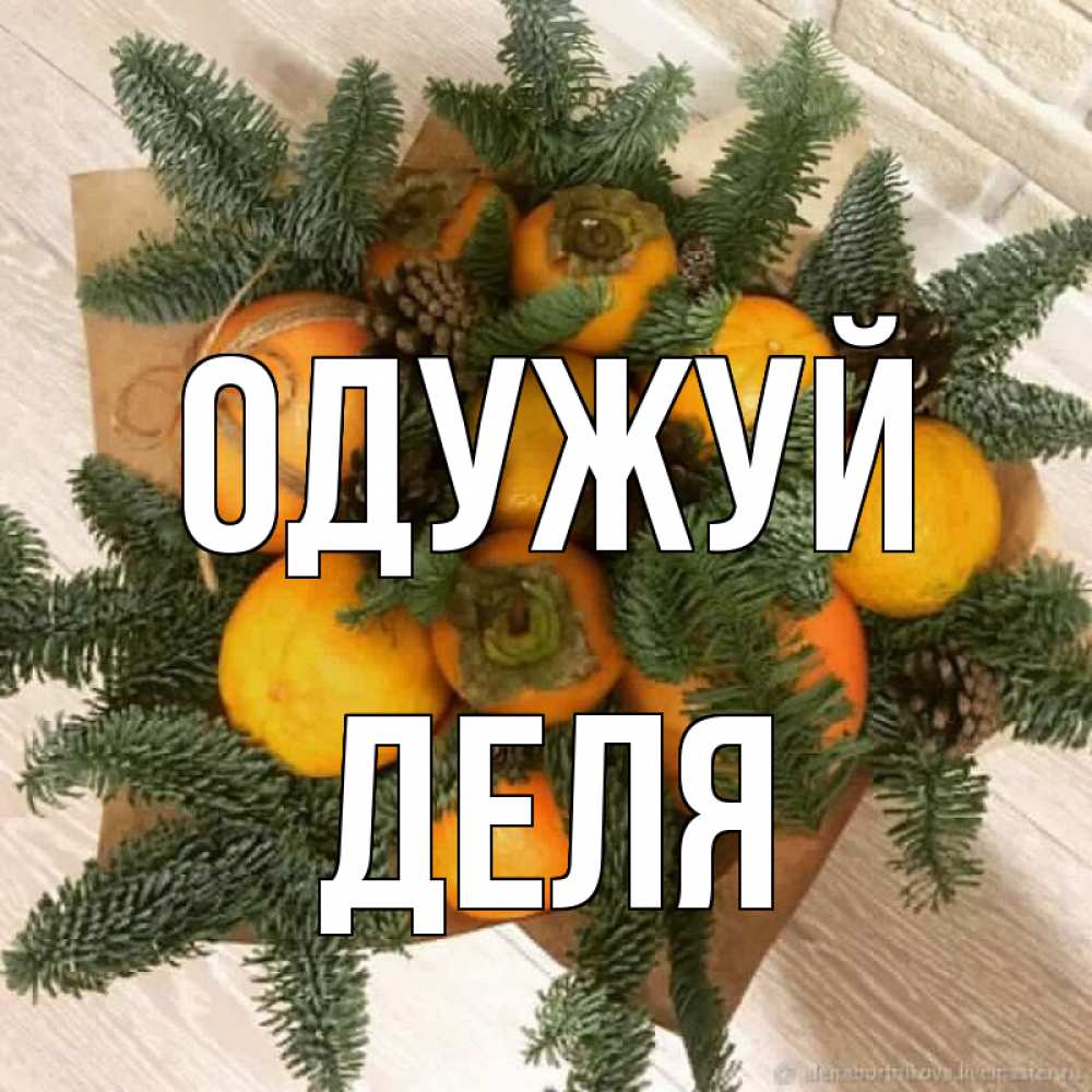 Открытка на каждый день з підписом, Деля Одужуй апельсины и хурьма Прикольна листівка з побажанням онлайн скачати безкоштовно 