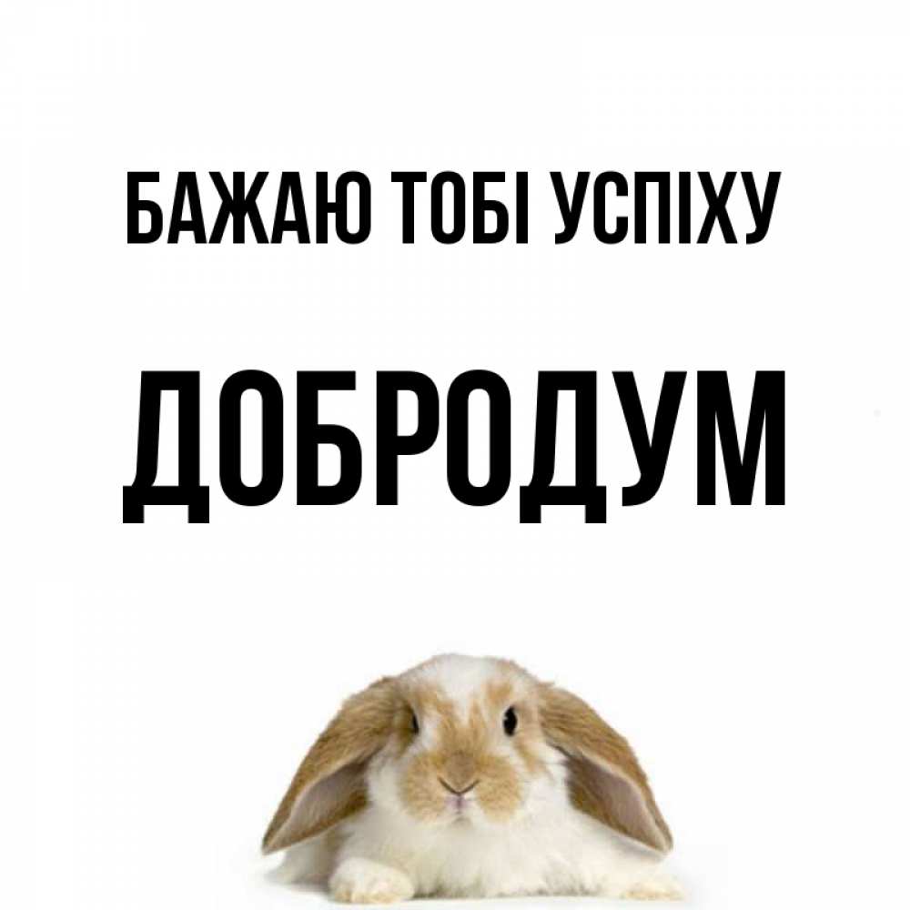 Открытка на каждый день з підписом, Добродум Бажаю тобі успіху открытки с произвольным текстом который можно вставить в открытку и создать ее самостоятельно бесплатно онлайн Прикольна листівка з побажанням онлайн скачати безкоштовно 