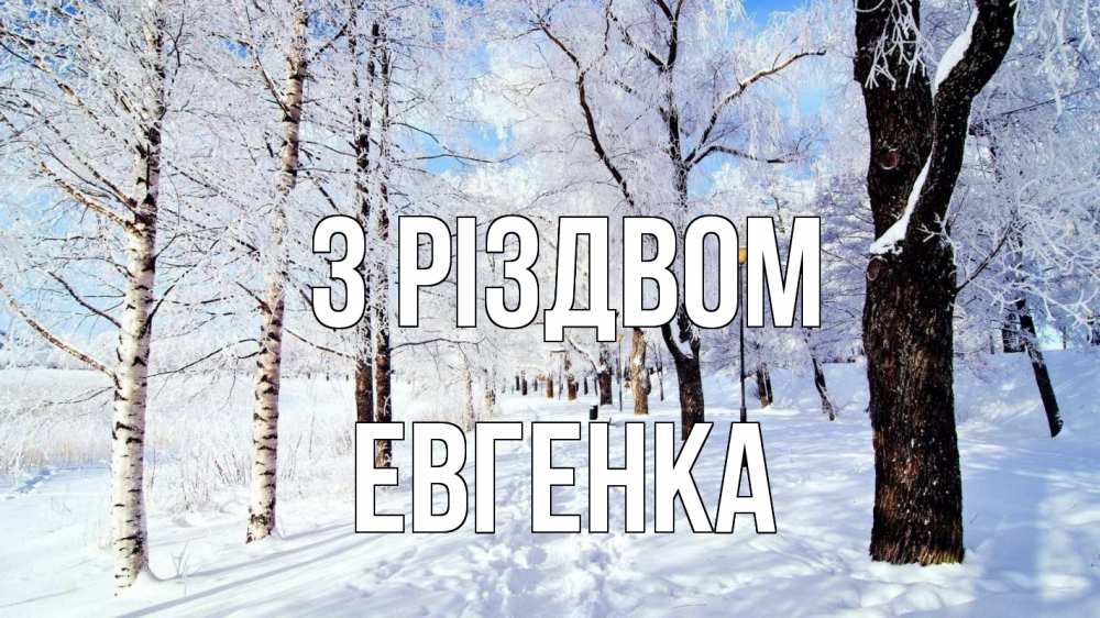 Открытка на каждый день з підписом, Евгенка З Різдвом зимний лес Прикольна листівка з побажанням онлайн скачати безкоштовно 