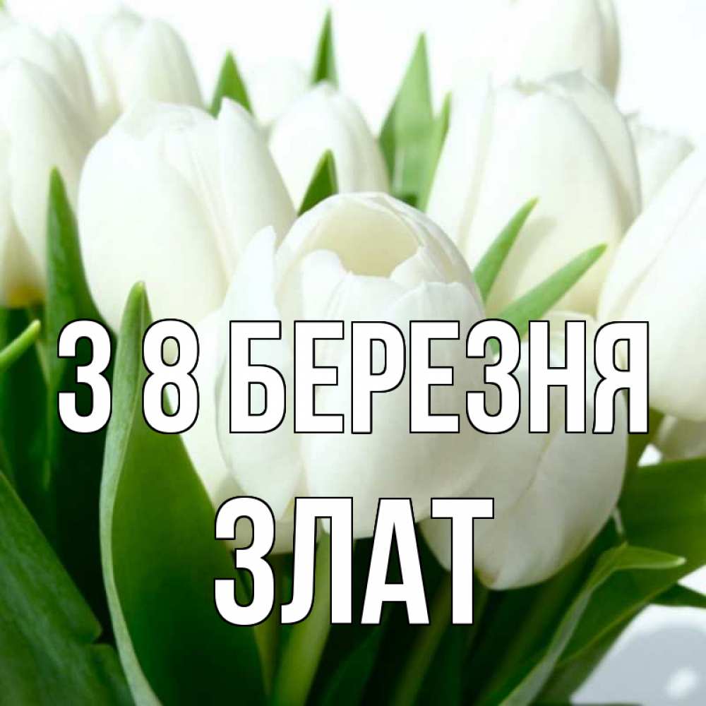 Открытка на каждый день з підписом, Злат З 8 БЕРЕЗНЯ цветы Прикольна листівка з побажанням онлайн скачати безкоштовно 