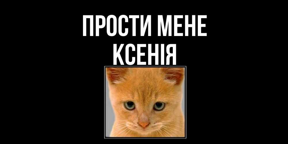 Открытка на каждый день з підписом, Ксенія Прости мене рыжий грустный кот просит прощения Прикольна листівка з побажанням онлайн скачати безкоштовно 
