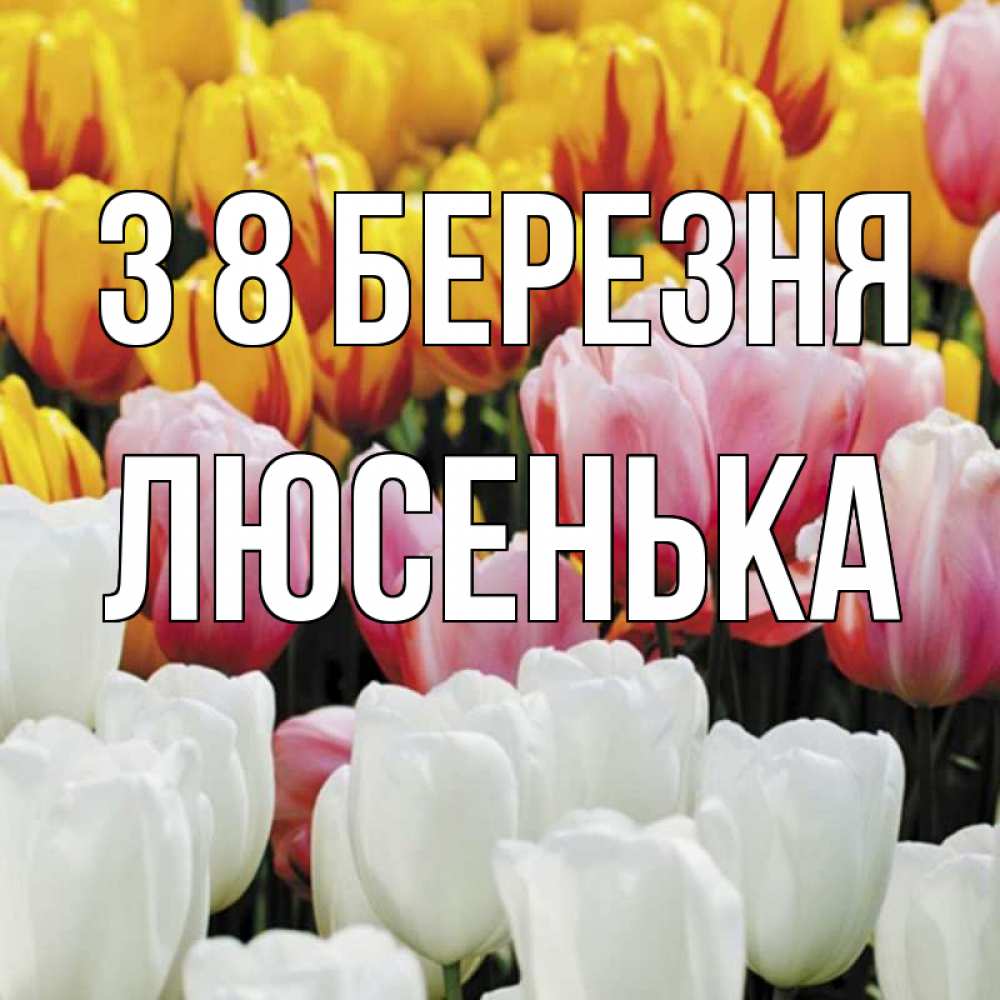 Открытка на каждый день з підписом, Люсенька З 8 БЕРЕЗНЯ разноцветные цветы Прикольна листівка з побажанням онлайн скачати безкоштовно 