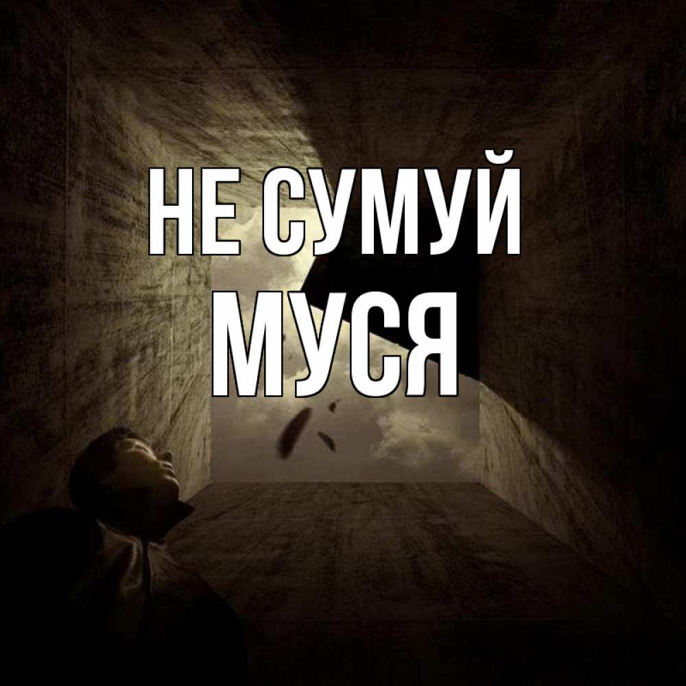 Открытка на каждый день з підписом, Муся Не сумуй жуть Прикольна листівка з побажанням онлайн скачати безкоштовно 