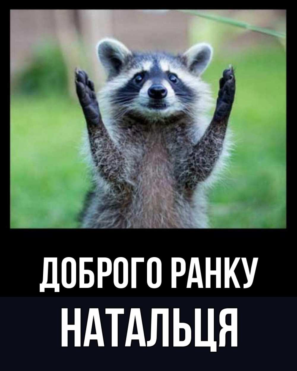 Открытка на каждый день з підписом, Натальця Доброго ранку хорошее настроение утречком Прикольна листівка з побажанням онлайн скачати безкоштовно 