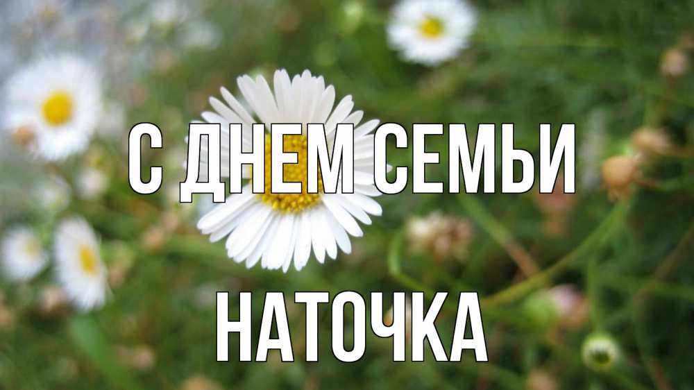 Открытка на каждый день з підписом, Наточка С днем семьи с днем семьи Прикольна листівка з побажанням онлайн скачати безкоштовно 