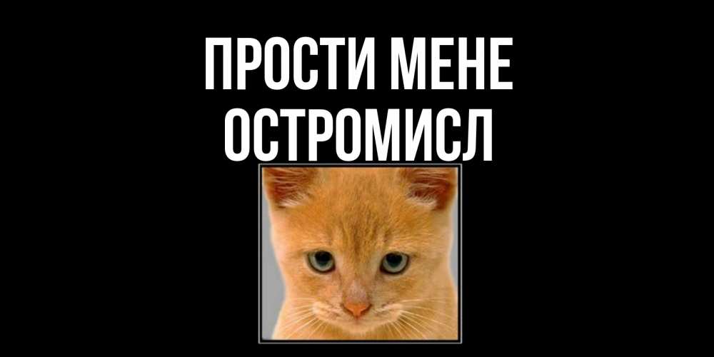 Открытка на каждый день з підписом, Остромисл Прости мене рыжий грустный кот просит прощения Прикольна листівка з побажанням онлайн скачати безкоштовно 