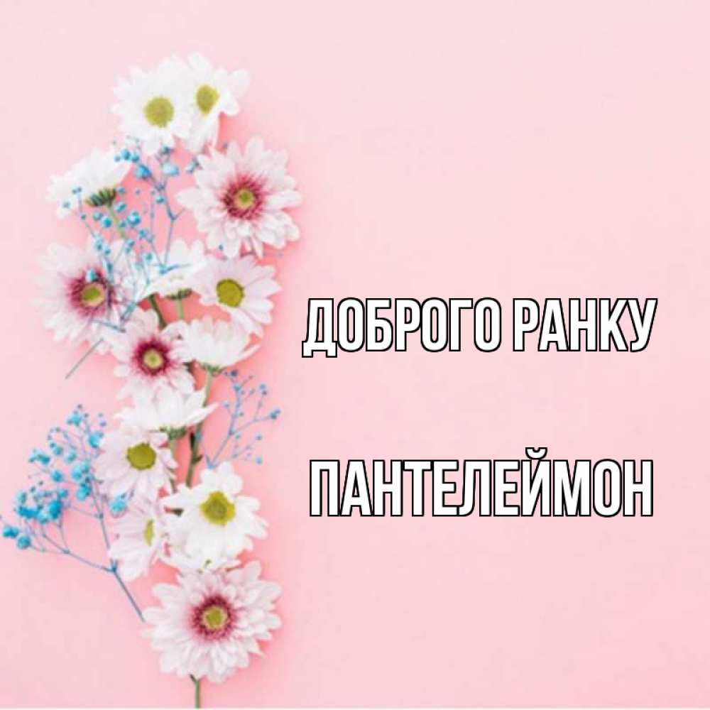 Открытка на каждый день з підписом, Пантелеймон Доброго ранку цветы с подписью Прикольна листівка з побажанням онлайн скачати безкоштовно 
