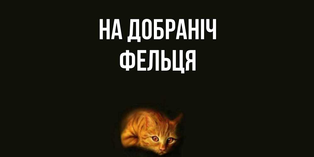 Открытка на каждый день з підписом, Фельця На добраніч кот Прикольна листівка з побажанням онлайн скачати безкоштовно 