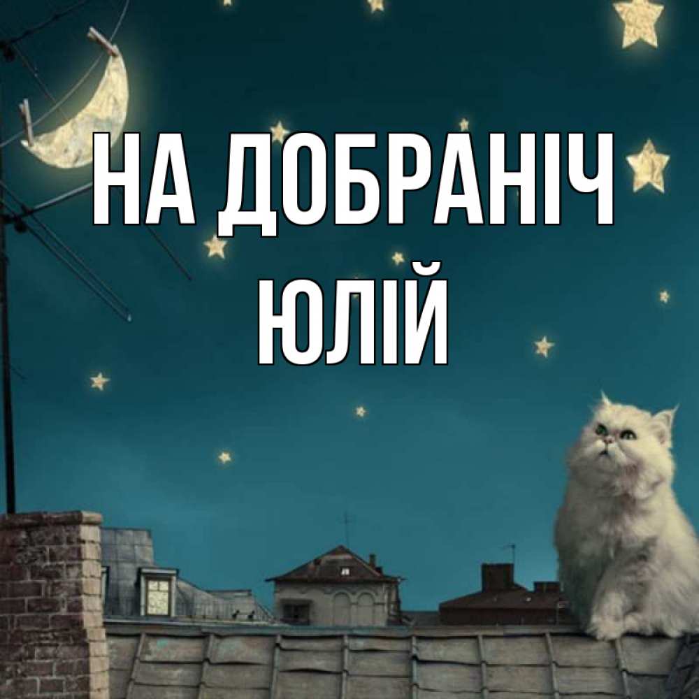 Открытка на каждый день з підписом, Юлій На добраніч белый кот сидит на крыше Прикольна листівка з побажанням онлайн скачати безкоштовно 