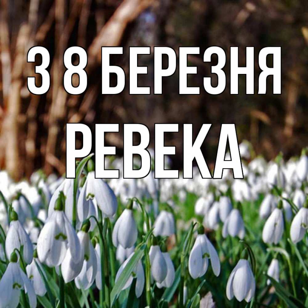 Открытка на каждый день з підписом, Ревека З 8 БЕРЕЗНЯ с подснежниками 1 Прикольна листівка з побажанням онлайн скачати безкоштовно 