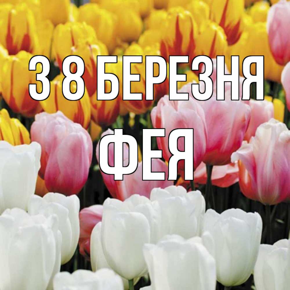 Открытка на каждый день з підписом, Фея З 8 БЕРЕЗНЯ разноцветные цветы Прикольна листівка з побажанням онлайн скачати безкоштовно 