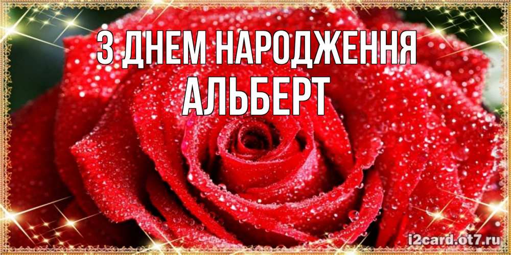 Открытка на каждый день з підписом, Альберт З Днем народження роса и роза. открытка с красивой розой Прикольна листівка з побажанням онлайн скачати безкоштовно 