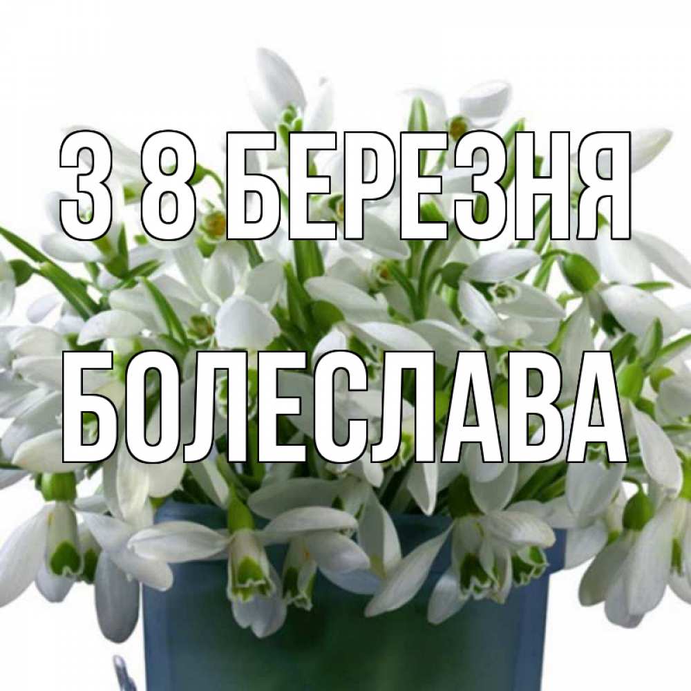 Открытка на каждый день з підписом, Болеслава З 8 БЕРЕЗНЯ цветы к международному женскому дню Прикольна листівка з побажанням онлайн скачати безкоштовно 