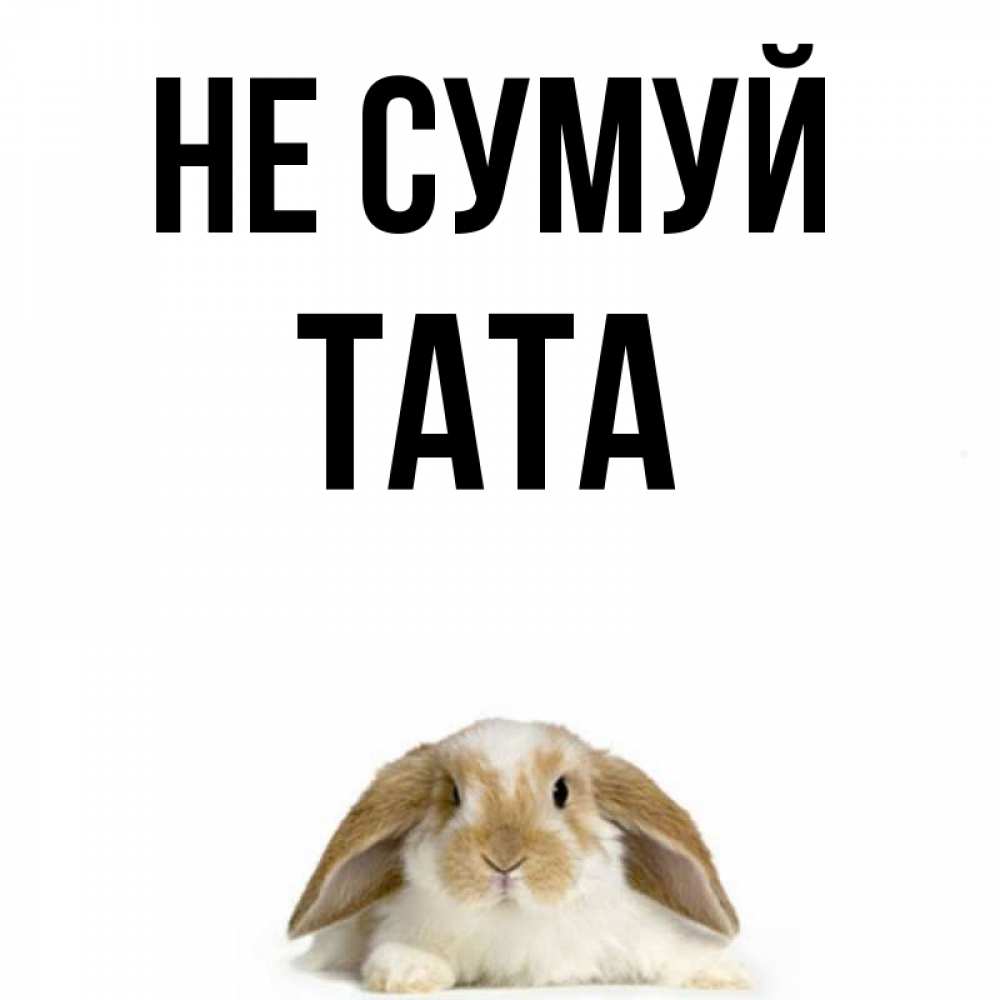 Открытка на каждый день з підписом, Тата Не сумуй коричнево белый заяц с большими ушками Прикольна листівка з побажанням онлайн скачати безкоштовно 