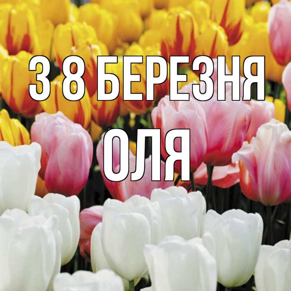 Открытка на каждый день з підписом, Оля З 8 БЕРЕЗНЯ разноцветные цветы Прикольна листівка з побажанням онлайн скачати безкоштовно 